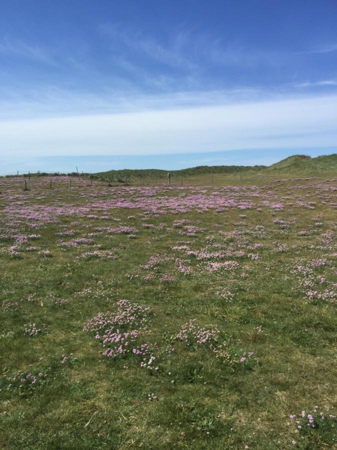 Lokken Strand Camping Exteriör bild